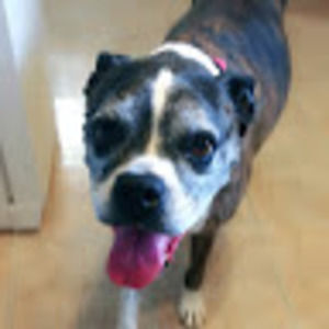 Meet your Posher, Eva